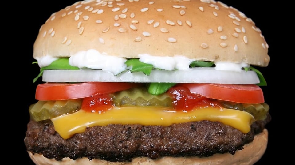 Hamburger - dali byste si?